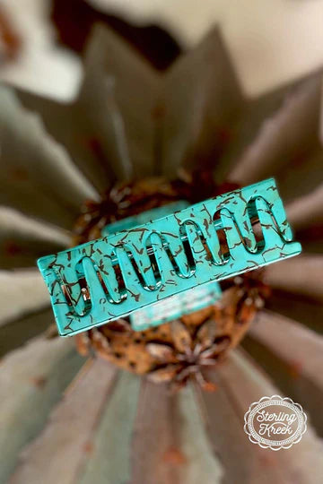 Wild Cherokee Hair Clip